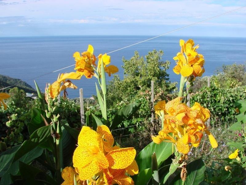 Case Vacanza Reggimonti Cinque Terre Бонассола Екстер'єр фото