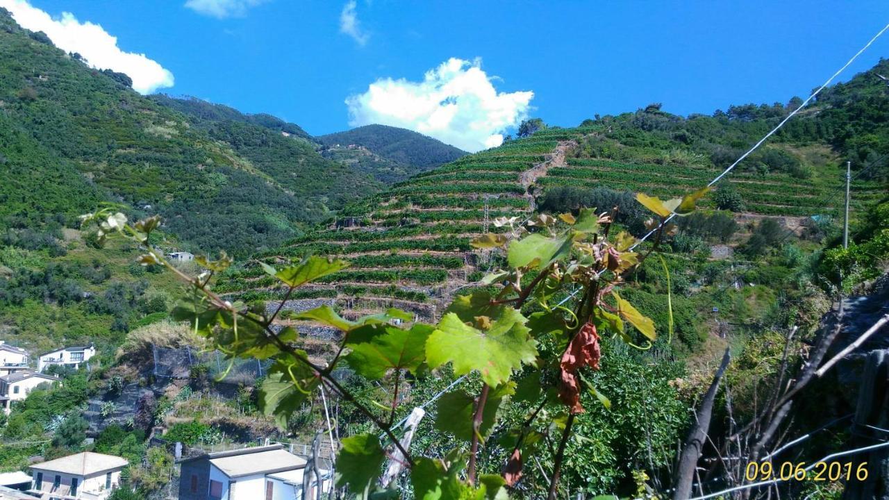 Case Vacanza Reggimonti Cinque Terre Бонассола Екстер'єр фото